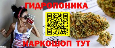 дурь Владимир