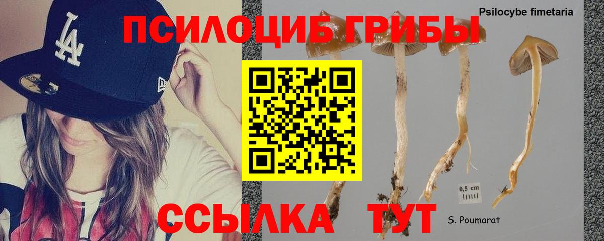 Псилоцибиновые грибы мухоморы Ростов Великий